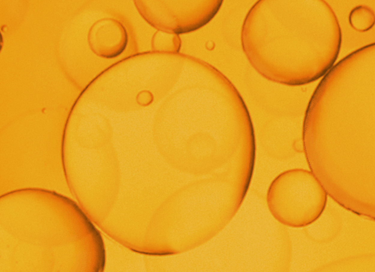  World Cup '22 in app game UI